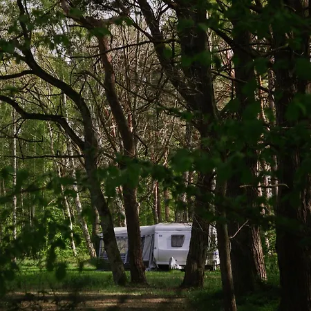 Szumi Las, Szumi Morze - Przyczepa Na Pieknej Prywatnej Dzialce Campingplatz