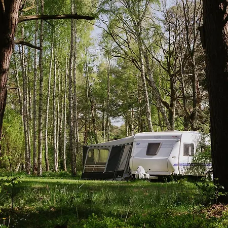 Szumi Las, Szumi Morze - Przyczepa Na Pieknej Prywatnej Dzialce Campingplads