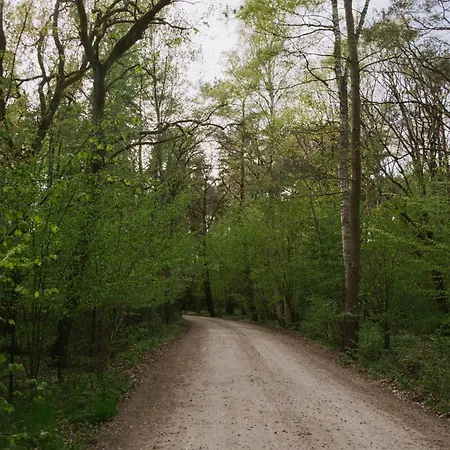 Szumi Las, Szumi Morze - Przyczepa Na Pieknej Prywatnej Dzialce Campingplads *