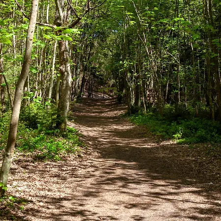 Campingplatz Szumi Las, Szumi Morze - Przyczepa Na Pieknej Prywatnej Dzialce Dębki